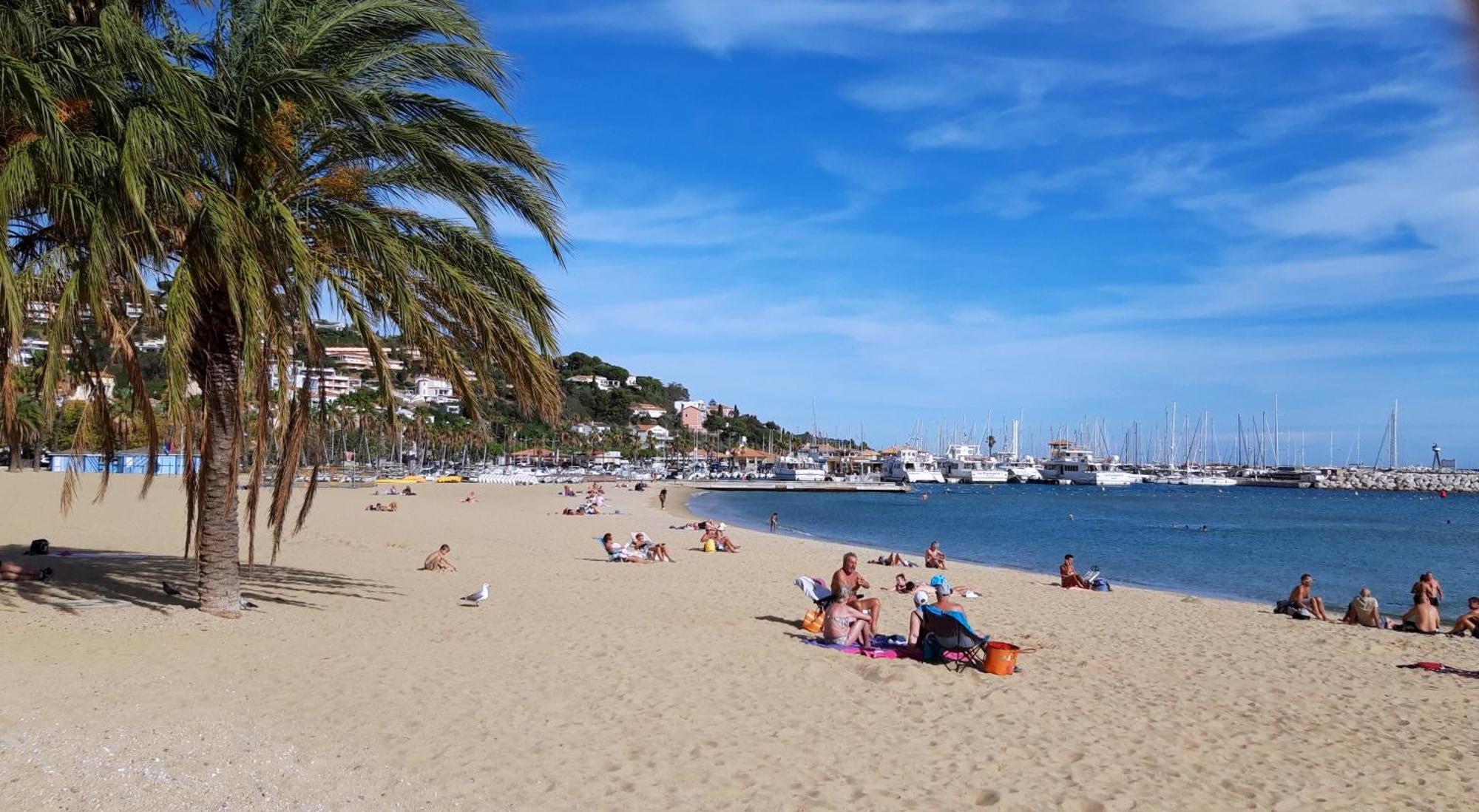 T2 Terrasse, Bormes Les Mimosas La Faviere, 5 Pers, 5 Mn A Pieds Des Plages Et Commerces ภายนอก รูปภาพ